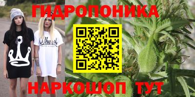 соль ск Партизанск