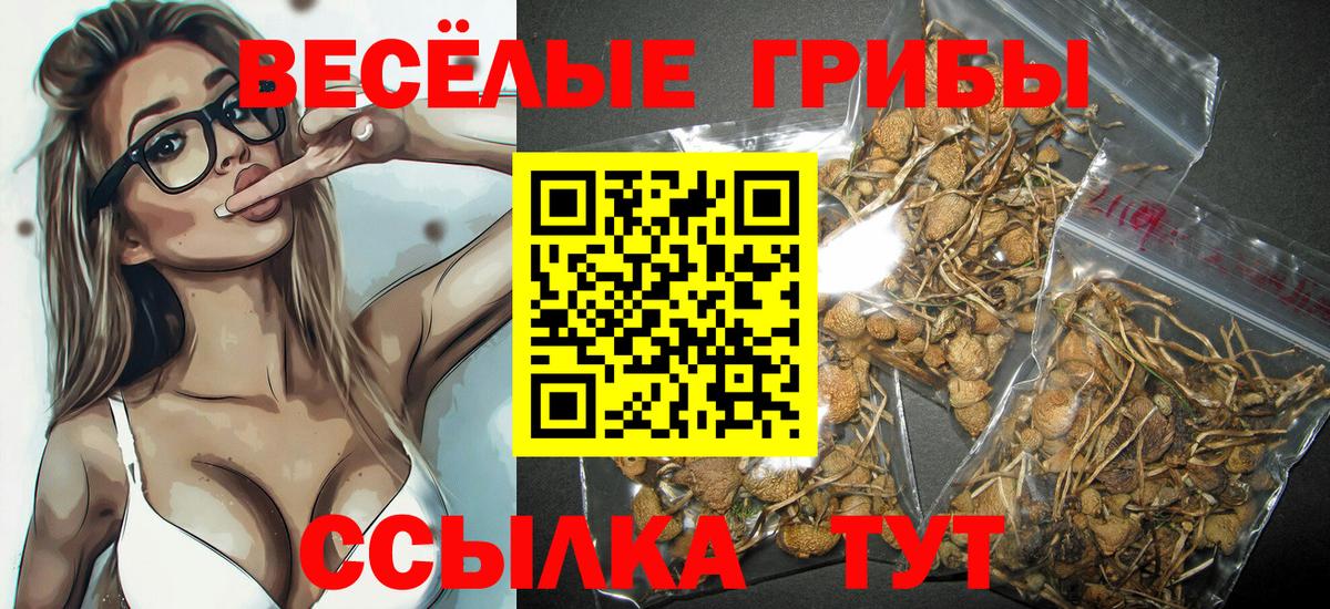 Псилоцибиновые грибы мухоморы Коломна