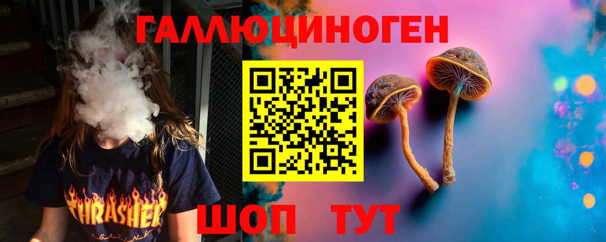 Галлюциногенные грибы Psilocybe  Вход с VPN  Коломна 